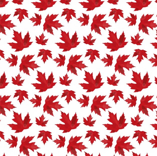 Coloured leaves pattern design