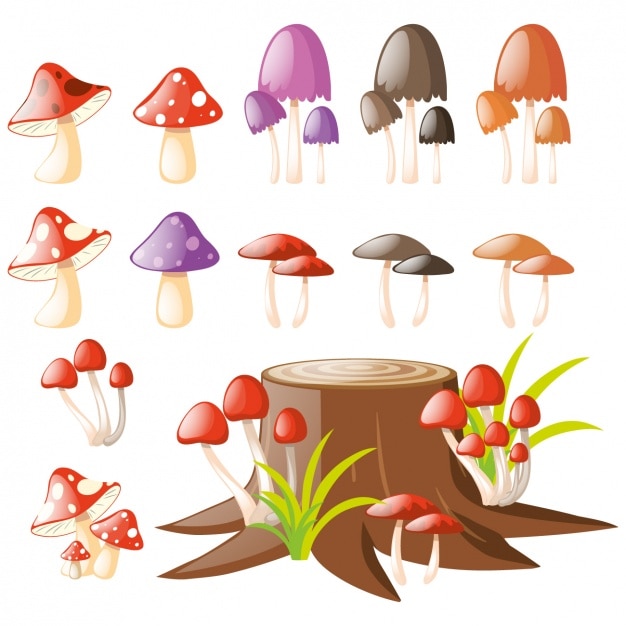 Free vector coloured mushrooms collection