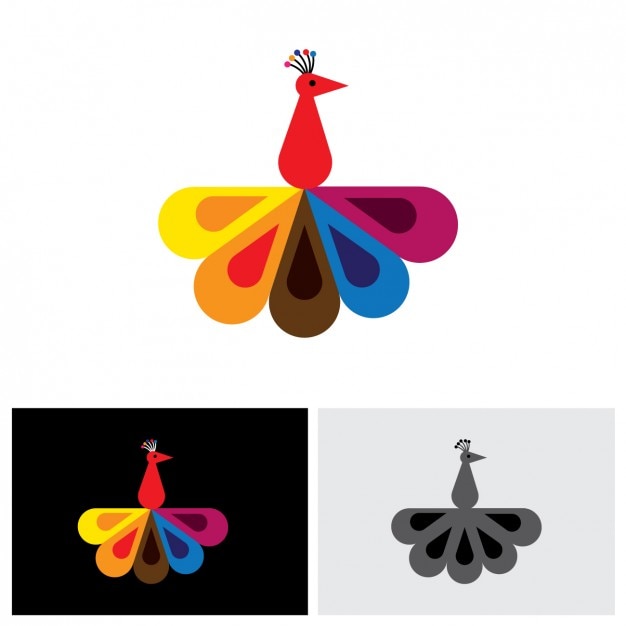 Coloured peacock shape logo
