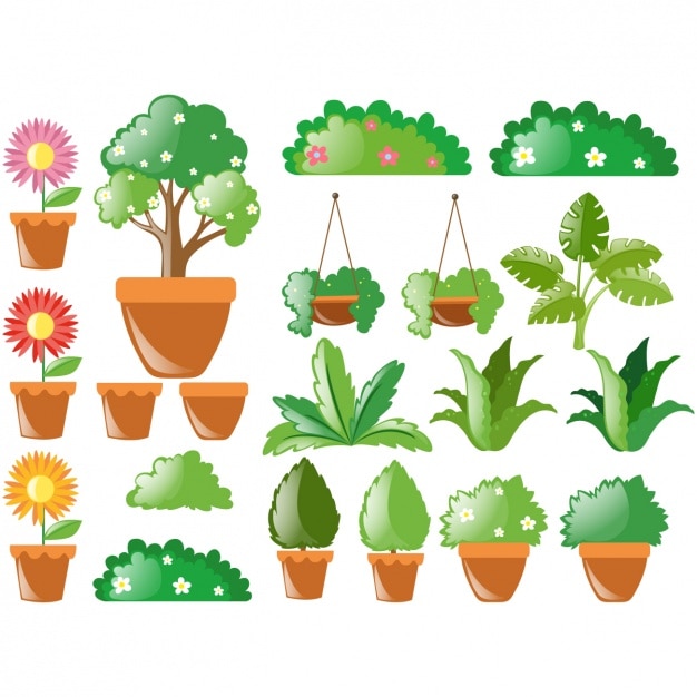 Бесплатное векторное изображение Коллекция цветное растений