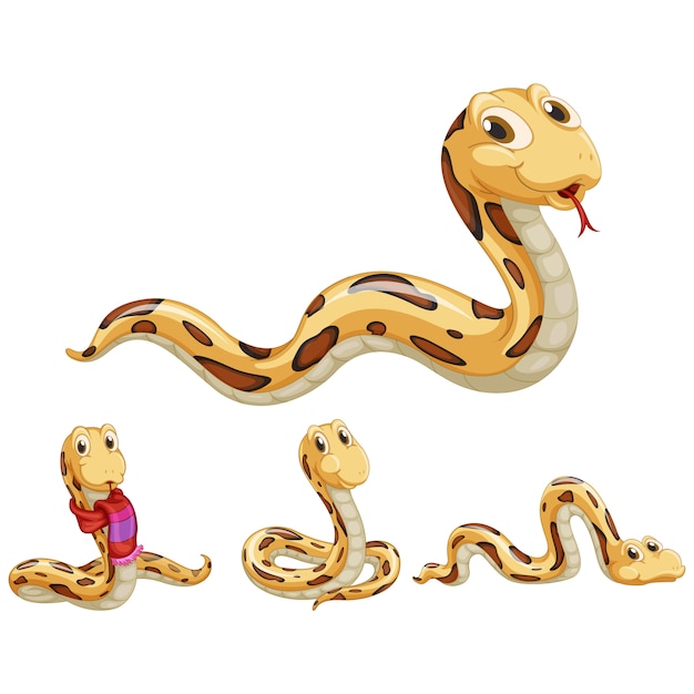 Бесплатное векторное изображение Цветные змеи collectio