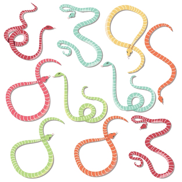 Free vector coloured snakes collection