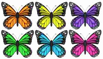 Free vector colourful butterflies