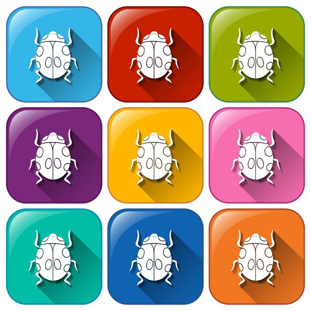 Free vector colourful rounded buttons with bugs