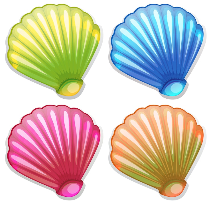 Free Vector colourful shells