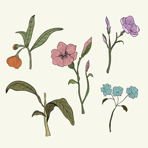 Free vector colourful wild flowers in vintage style