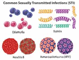 Free vector common sexually transmitted infections sti