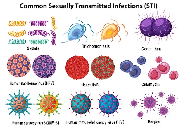 無料ベクター 一般的な性感染症 sti