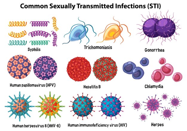 Free vector common sexually transmitted infections sti