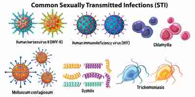 Free vector common sexually transmitted infections sti