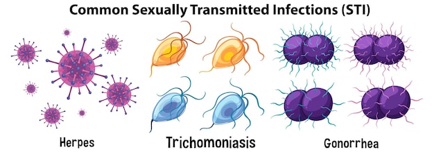 Free vector common sexually transmitted infections sti