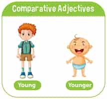 Бесплатное векторное изображение Сравнительные прилагательные к слову молодой