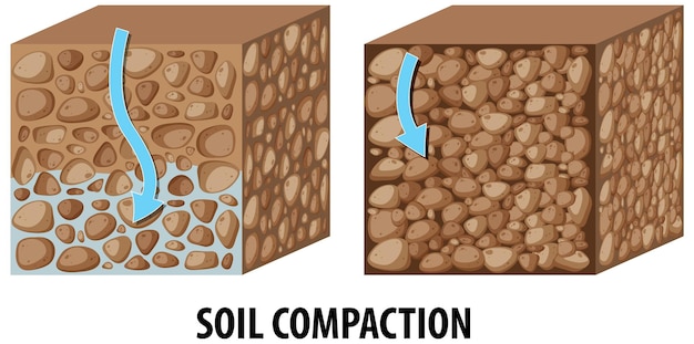 무료 벡터 과학 교육에서 토양 압축 밀도의 비교