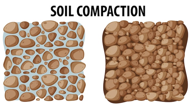 Vettore gratuito confronto della densità di compattazione del suolo nell'istruzione scientifica