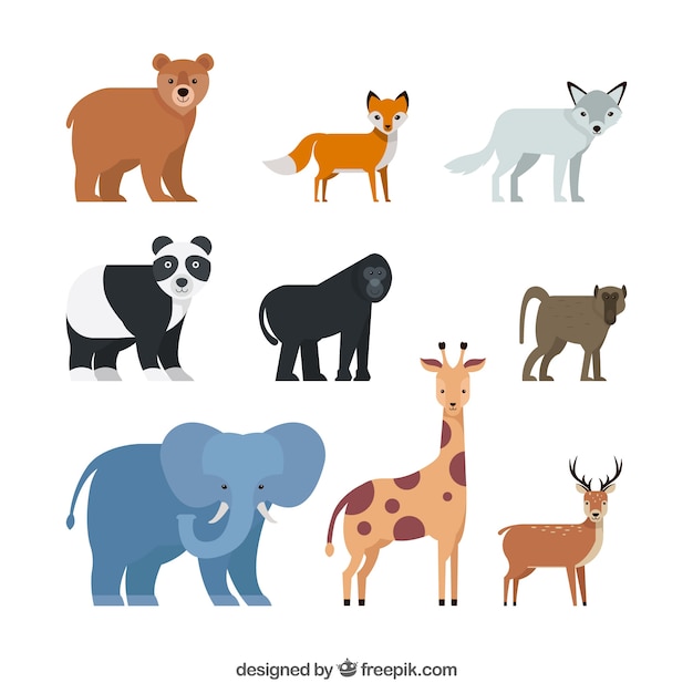 Free vector complete pack of wild animals with flat design