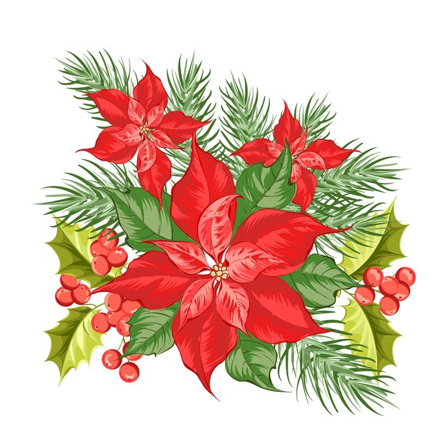 Composition of red poinsettia flower isolated over white background.