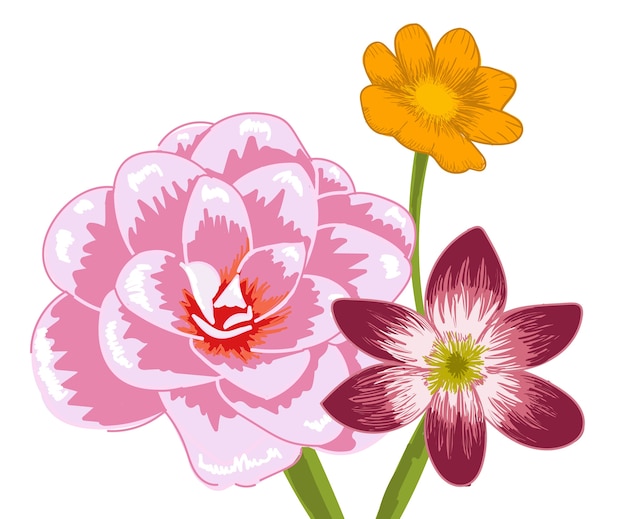 3つの異なる花の組成物。バミューダキンポウゲ、雪の栄光とダマスクローズ