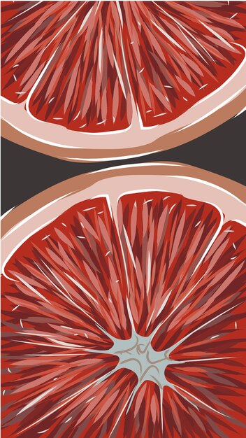 Композиция из двух ломтиков грейпфрута Рисованной цитрусовых