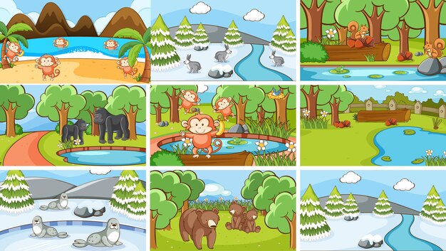 Compositons set of animals in the wild