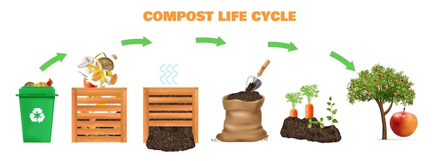 Concetto realistico del ciclo di vita del compost con l'illustrazione vettoriale dei simboli dell'ecosistema