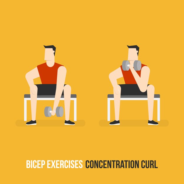 Concentrational curl demostration