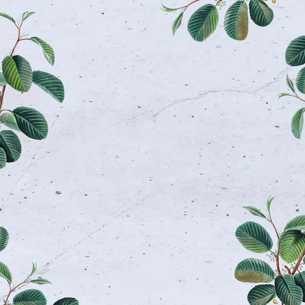 Free vector concrete background with leaves