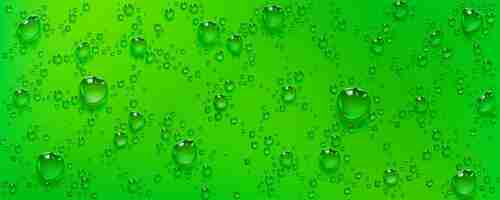 Free vector condensation water drops on green background rain