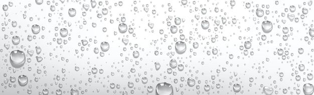 Free vector condensation water drops . rain droplets with light reflection