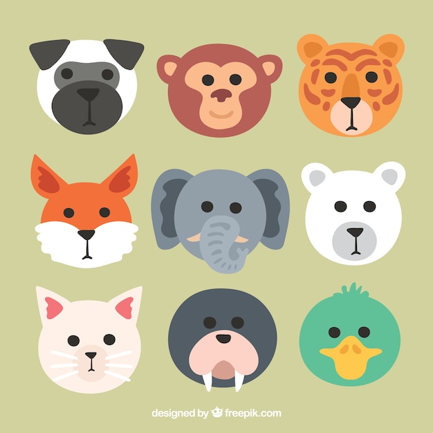 Cool pack of animal faces