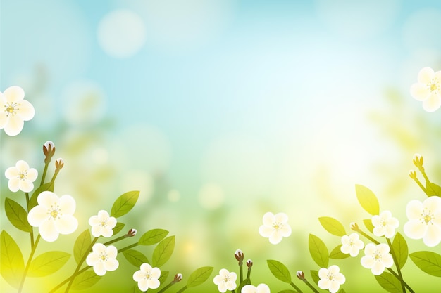 Copy space spring floral background and blue sky