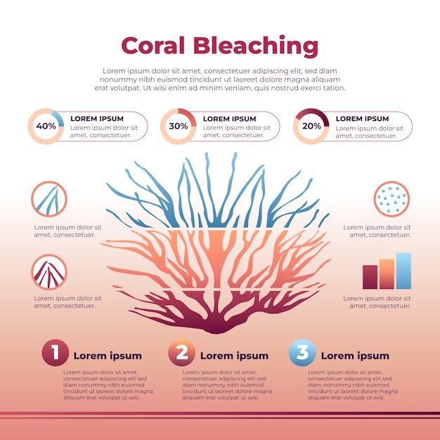 Vettore gratuito progettazione infografica di sbiancamento dei coralli