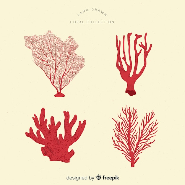 Free vector coral collectio