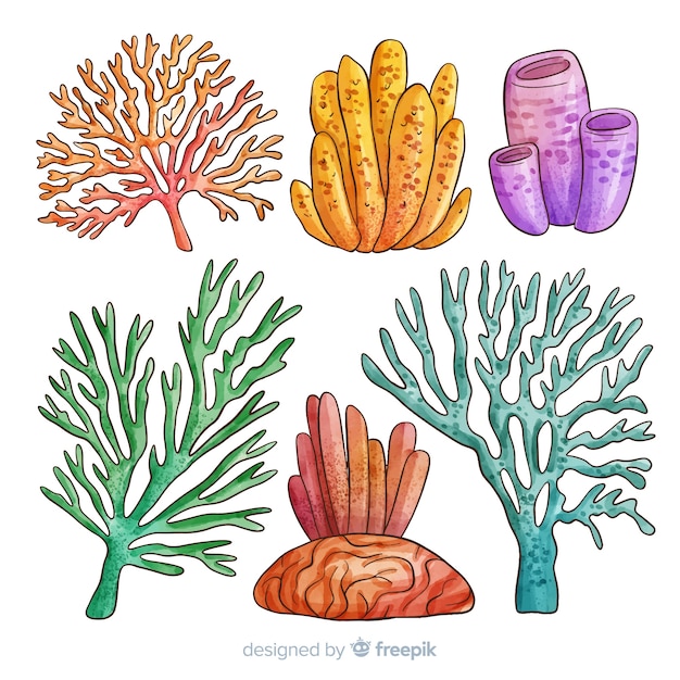 Free vector coral collection