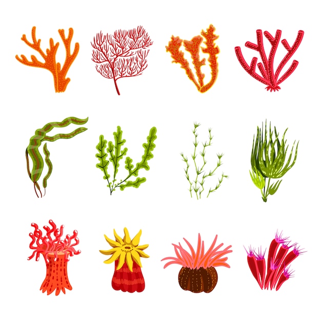 Free vector coral icons set