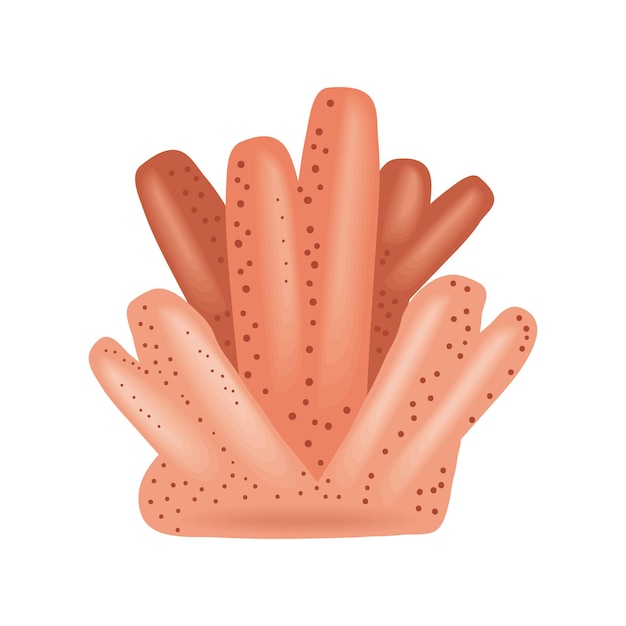 Free vector coral sea life isolated illustration