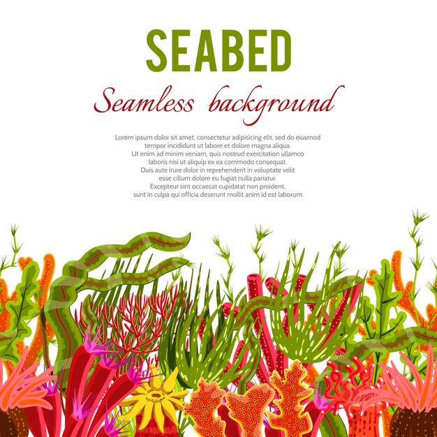 Coral Seabed Background