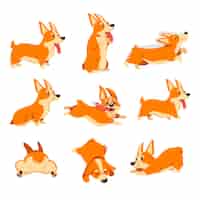 Free vector corgi dog character set with different emotions. vector illustrations of corgi poses. cartoon comic puppy sleeping, cute friendly doggy sitting isolated on white. pet care, domestic animals concept