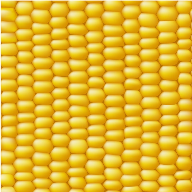 Vettore gratuito corn vettore seamless texture realistiche