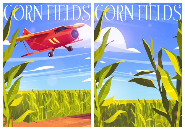 Free vector corn fields posters with red airplane and green cereal plants. vector cartoon banners with agriculture cornfield and biplane in sky. farmland with plantation of maize and flying aircraft