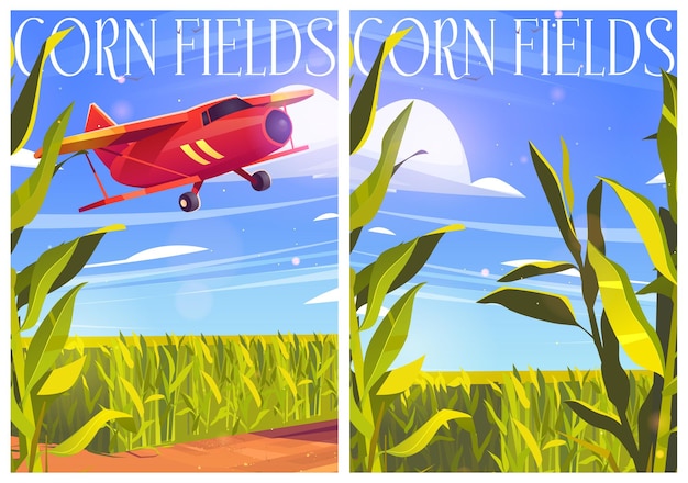 Poster di campi di grano con aeroplano rosso e piante di cereali verdi. bandiere del fumetto di vettore con campo di grano agricolo e biplano in cielo. terreno agricolo con piantagione di mais e velivoli in volo