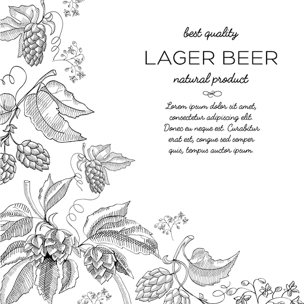 Corner frame hop vignette ornament doodle with text about natural product lager beer