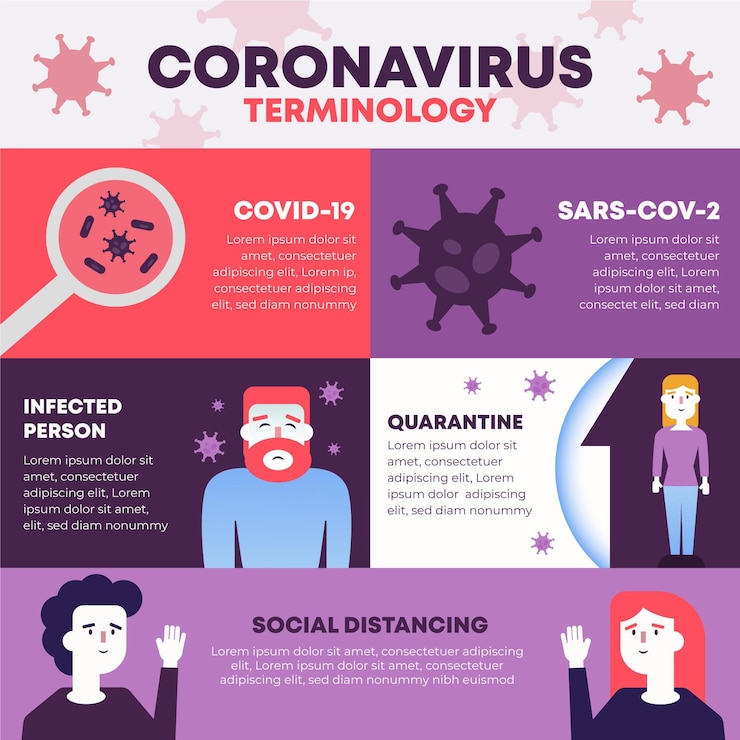 Free Vector coronavirus terminology infographic
