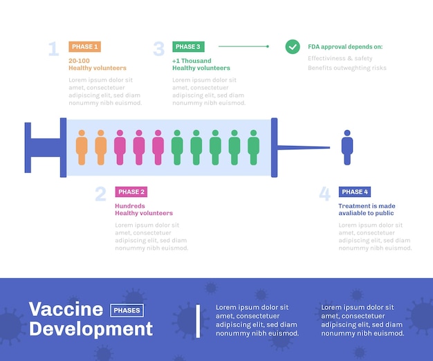 Coronavirus vaccine phases infographic flat design