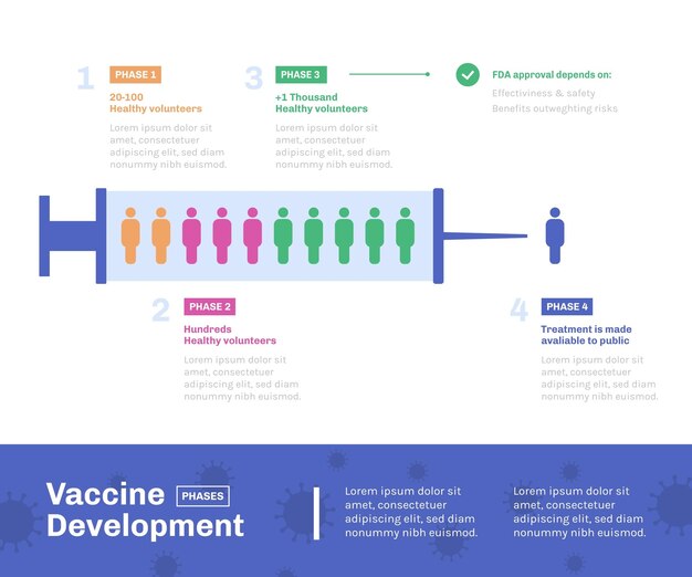 Инфографический плоский дизайн фаз вакцины против коронавируса