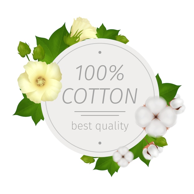 綿の花のリアルな丸い構成と最高品質の説明と花