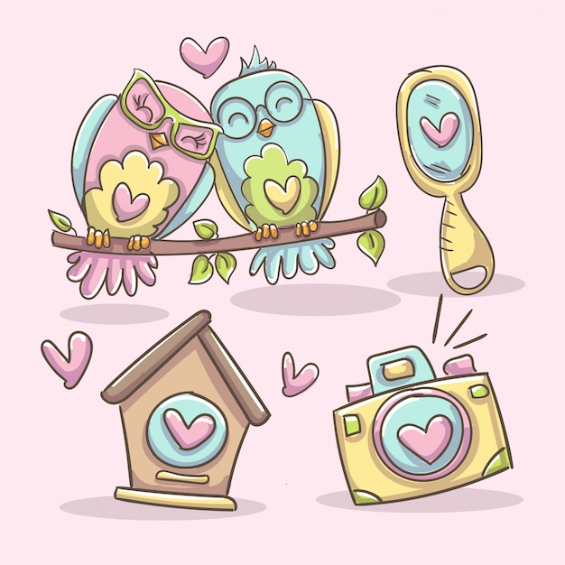 Couple of owls, birdhouse, camera and mirror. Elements set