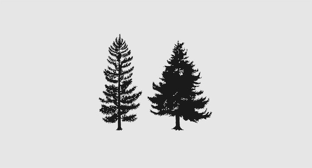 A couple of pine trees on a gray background