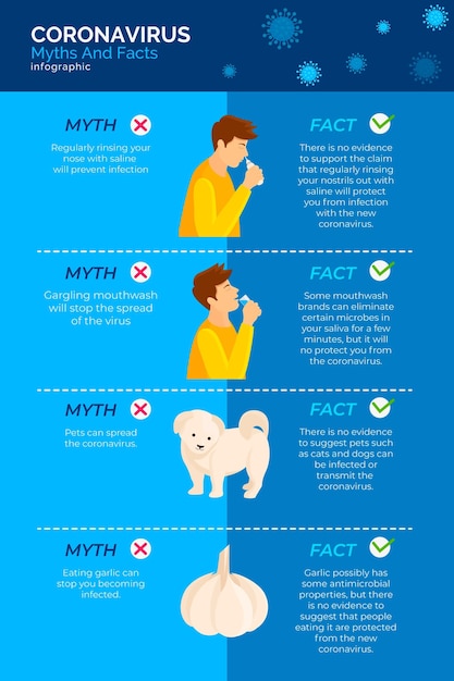 Бесплатное векторное изображение covid19 мифы и факты инфографики