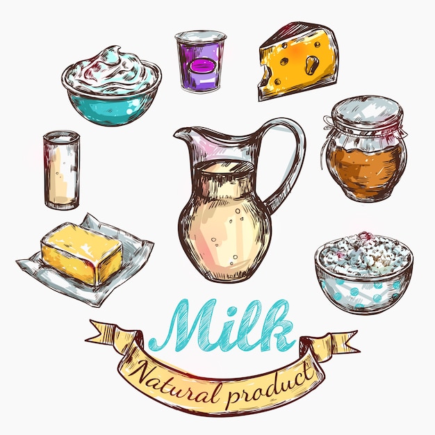 Бесплатное векторное изображение Эскиз цвета коровы и молока природы