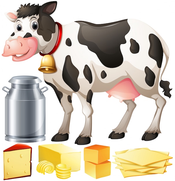 Cow and dairy products illustration